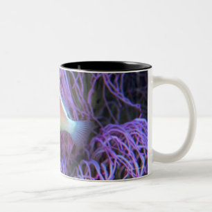 Seitenansicht eines rosa Anemonenfisches, Okinawa, Zweifarbige Tasse
