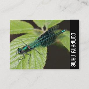 Seitenband - Dragonfly Visitenkarte