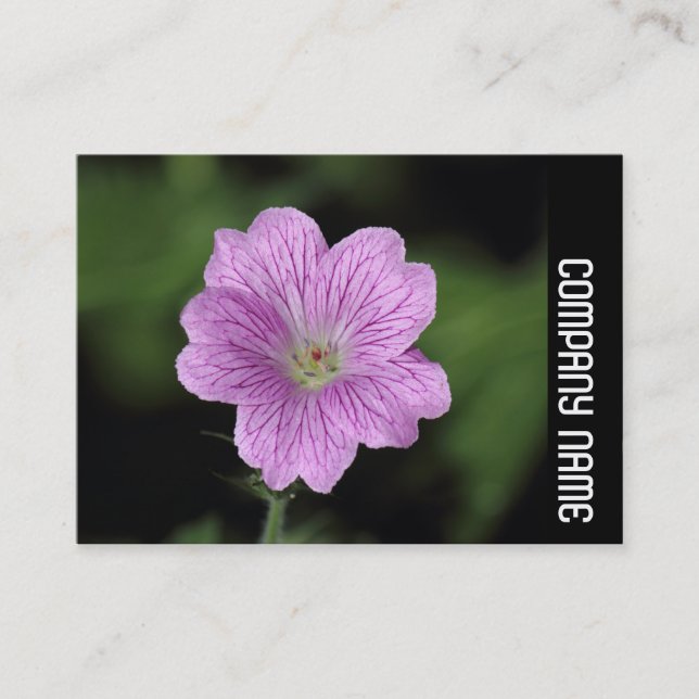 Seitenband - Geranium Endressii Visitenkarte (Vorderseite)