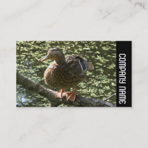 Seitenband - Glückliche Ente Visitenkarte