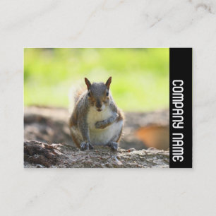 Seitenband - Grauhörnchen Visitenkarte