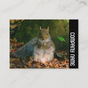 Seitenband - Grauhörnchen Visitenkarte