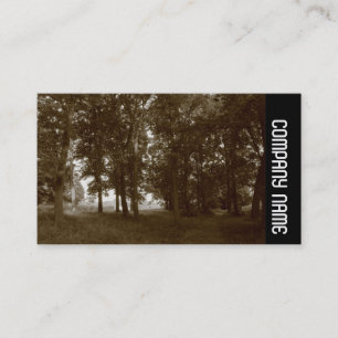 Seitenband - Holz, Bute Park Cardiff Visitenkarte