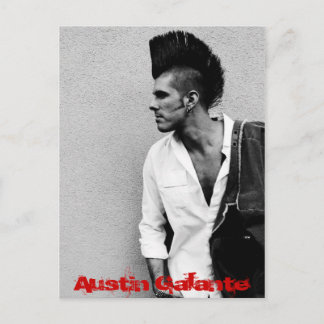 Seitenhawk 4x6, Austin Galante Postkarte