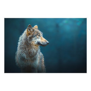 Seitenporträt eines grauen Wolfs Fotodruck