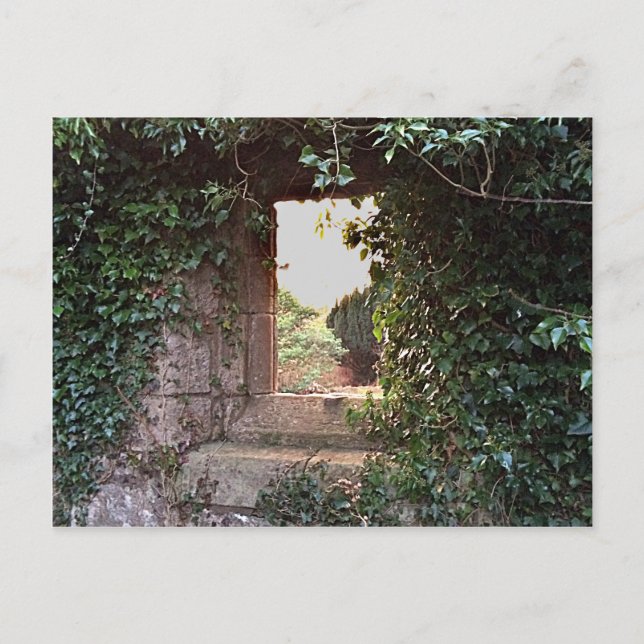 Seitenscheibe an der WestKirche Culross Postkarte (Vorderseite)