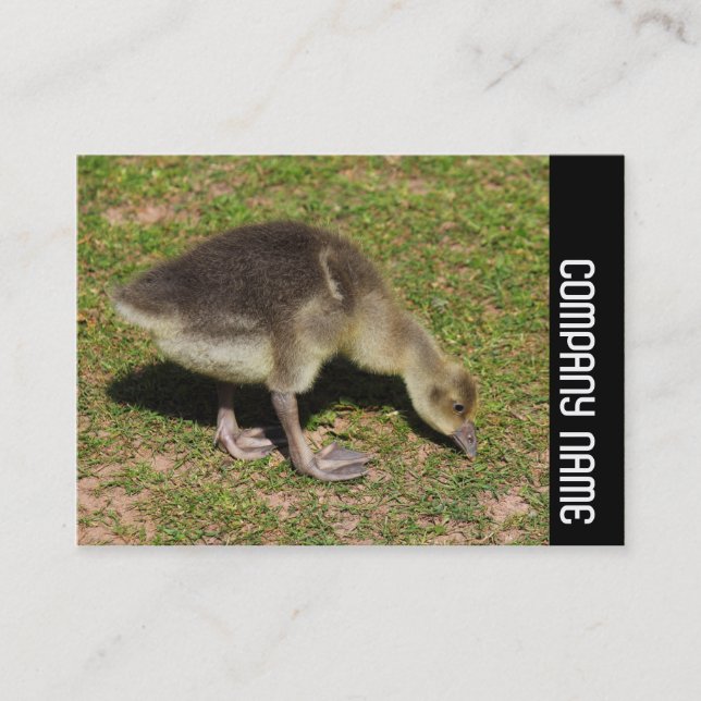 Seitliche Band - Gosling Visitenkarte (Vorderseite)