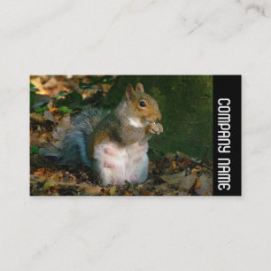 Seitliche Band - Graues Eichhörnchen Visitenkarte