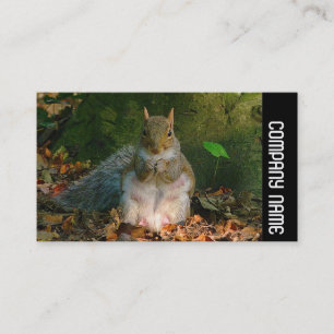 Seitliche Band - Graues Eichhörnchen Visitenkarte