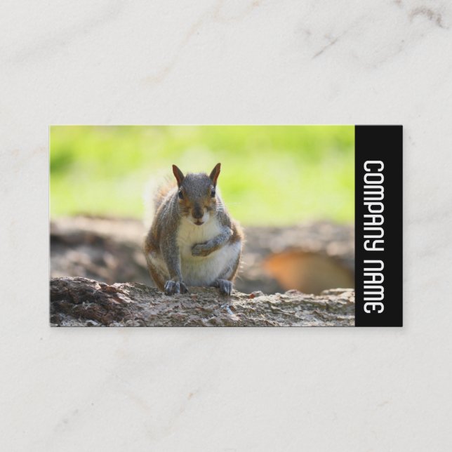 Seitliche Band - Graues Eichhörnchen Visitenkarte (Vorderseite)