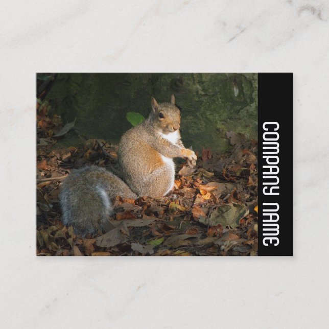 Seitliche Band - Graues Eichhörnchen Visitenkarte (Vorderseite)