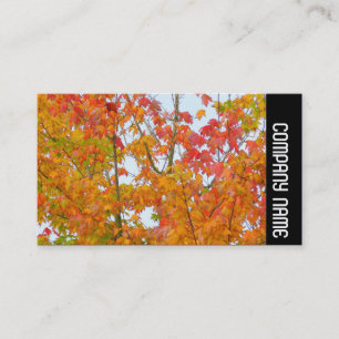 Seitliche Band - Herbstblätter Visitenkarte