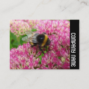 Seitliche Band - Hummel auf dem Sedum Visitenkarte