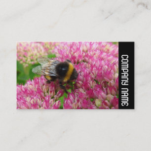 Seitliche Band - Hummel auf dem Sedum Visitenkarte