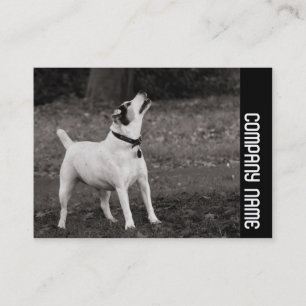 Seitliche Band - Hund Visitenkarte