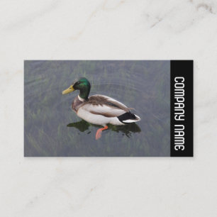 Seitliche Band - Mallard Duck Visitenkarte