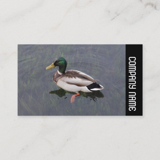 Seitliche Band - Mallard Duck Visitenkarte (Vorderseite)