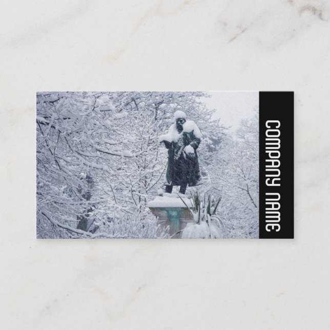 Seitliche Band - Schnee im Park Visitenkarte (Vorderseite)