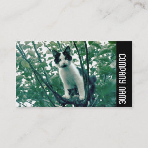 Seitliche Band - Überfluss der Unbeholfenheit Visitenkarte