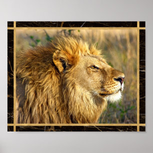 Seitwärts Löwe Foto Bild Druck Poster