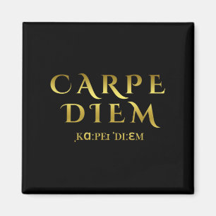 Seize Day Carpe Latin Diem Inspiration Zitate Magnet