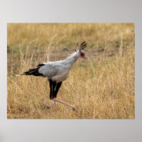 Sekretär für die Jagd