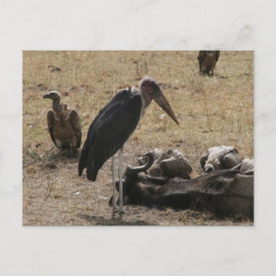 Sekretär Postkarte