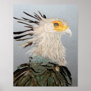 Sekretärvogel Poster