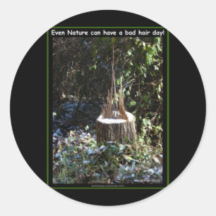 Selbst die Natur kann einen schlechten Haaretag ha Runder Aufkleber