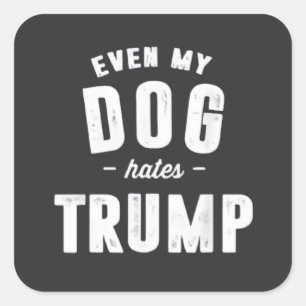 Selbst mein Hund hasst Trump Anti-Spaß Quadratischer Aufkleber