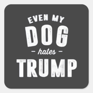Selbst mein Hund hasst Trump Anti-Spaß Quadratischer Aufkleber