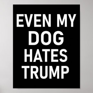 Selbst mein Hund hasst Trump, liberal, antikonserv Poster