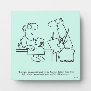 Selbstdiagnose Fotoplatte