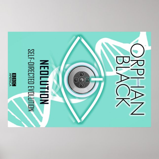 Selbstgesteuerte Evolution (Poster) Poster (Vorne)