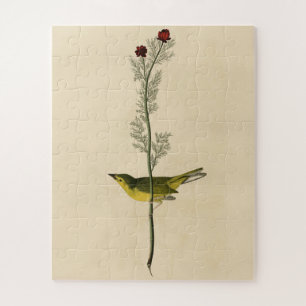 Selby's Fly Catcher - Audubons Vögel von Amerika Puzzle