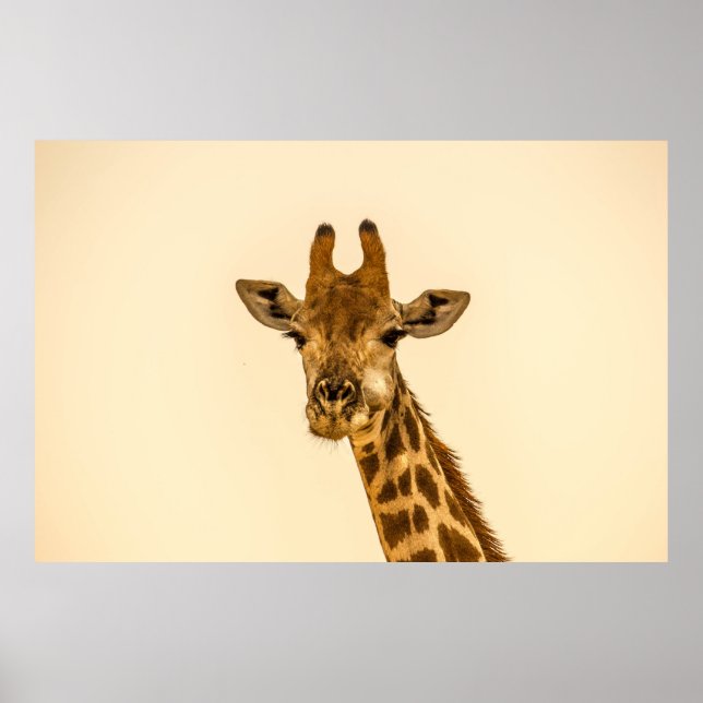 SELEKTIVE FOCUS FOTOGRAFIE VON GIRAFFE POSTER (Vorne)