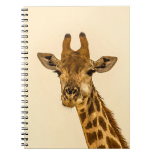 SELEKTIVE FOKUSFOTOGRAFIE VON GIRAFFE NOTIZBLOCK