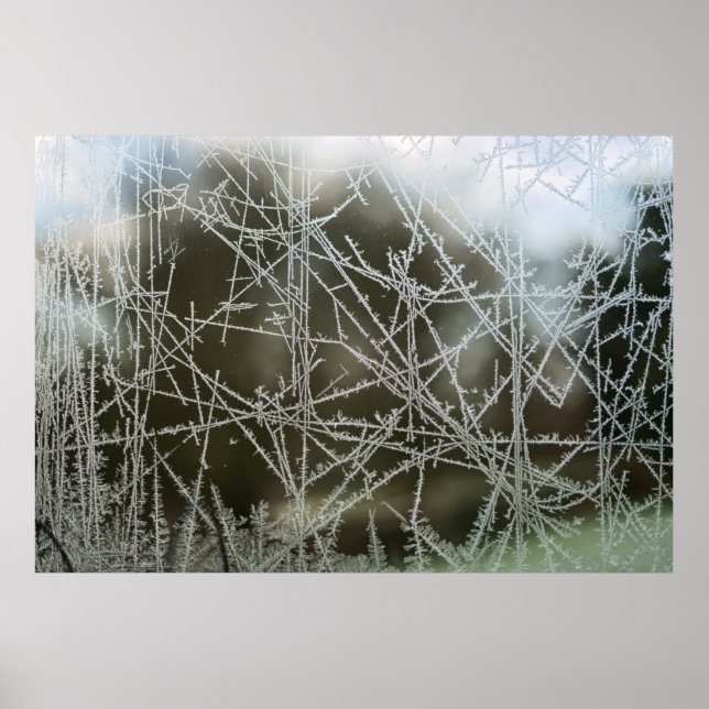 Selektiver Fokus von Schneeflocken Poster (Vorne)