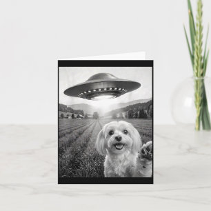 Selfie mit Alien-Ufo lustiger maltesischer Hund Ma Karte