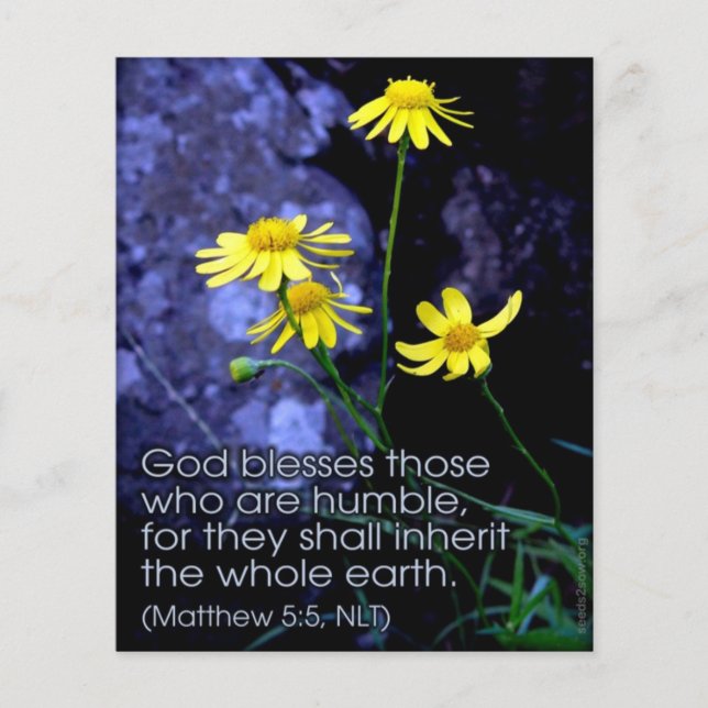 Selig sind die Meere Flyer (Vorne)