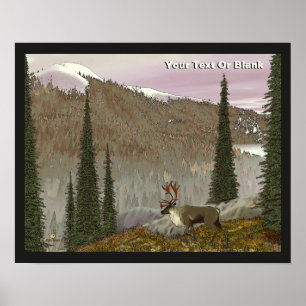 Selkirk Caribbean Poster