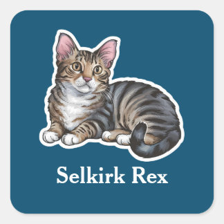 Selkirk Rex Quadratischer Aufkleber