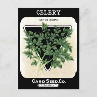 Sellerie-Samenpaket Grün Schwarz Gemüsegarten Postkarte