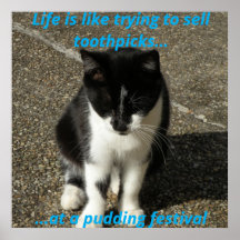 Selling toothpicks at a pudding festival...