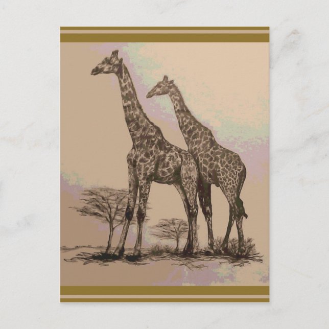 Selten afrikanische Giraffen in Sepia & Pastels Postkarte (Vorderseite)