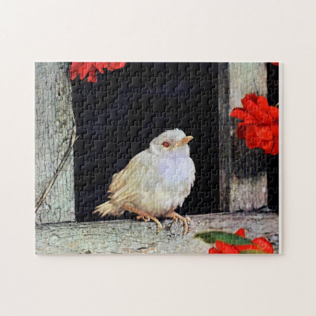 Selten Albinrobin Puzzle (Horizontal)