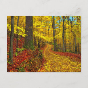 Selten benutzte Straße, Postkarte