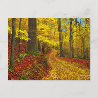 Selten benutzte Straße, Postkarte