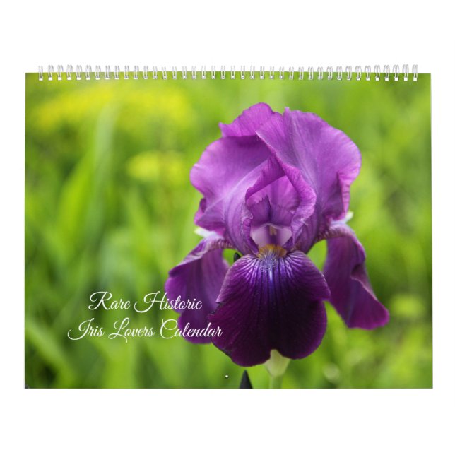 Selten Historischer Iris - Liebeskalender Kalender (Titelbild)