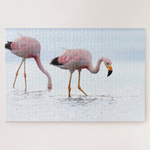 Selten Schöner andanischer Flamingo Pink Bird Chil Puzzle